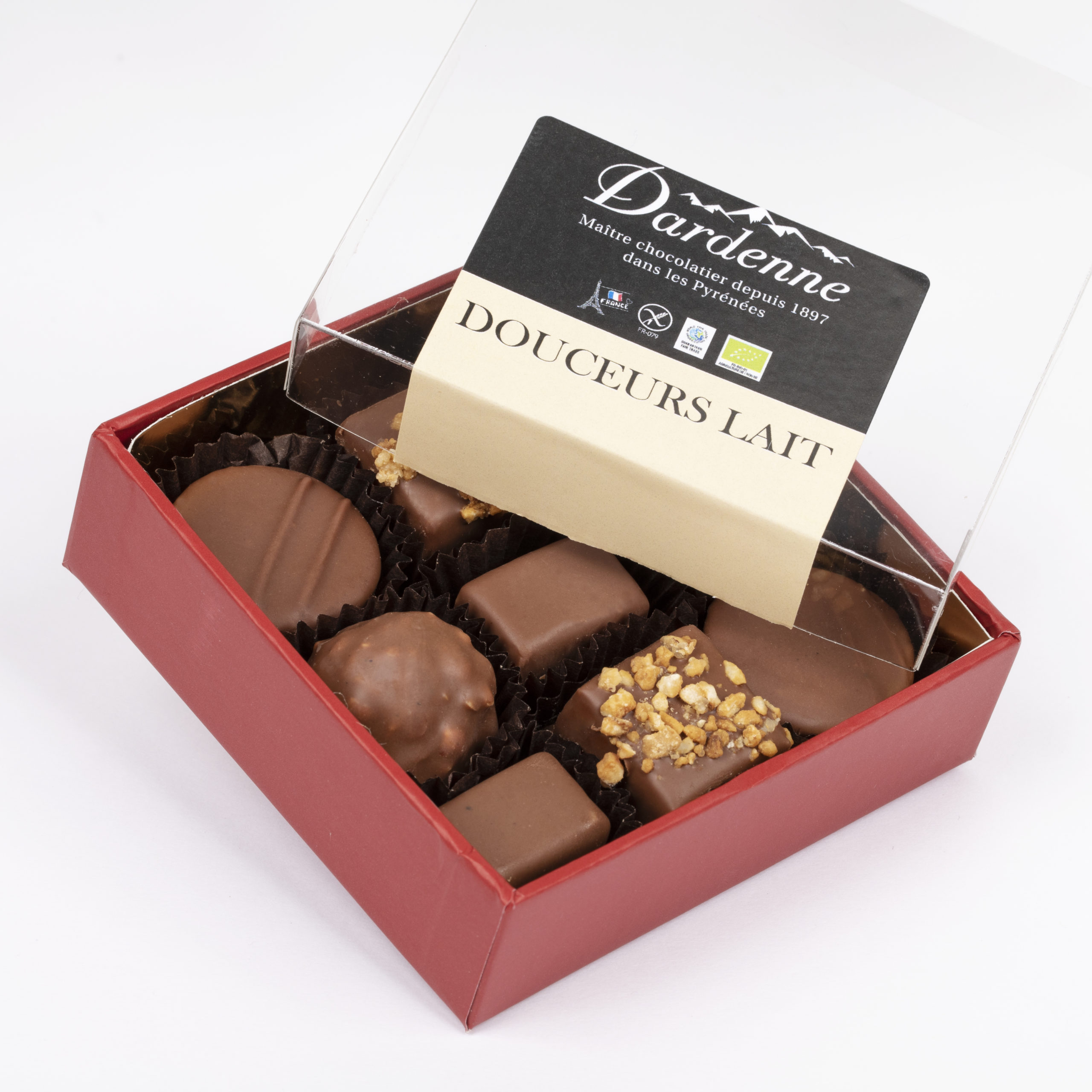 Boîte tout chocolat - 820g - Chocolat Dardenne