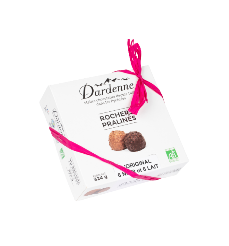 9 Mini Rochers Pralinés au Chocolat au Lait - 90g - Chocolat Dardenne